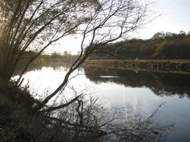 Labe 20 Kersko U Kamene 1.11.08 (1).JPG